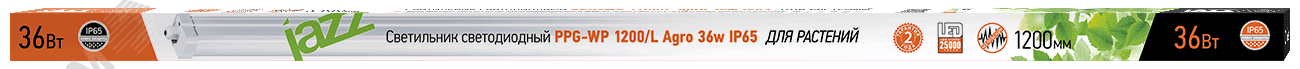 Светильник светодиодный ДСП-36w IP65 (для         растений) Jazzway 5007765 JazzWay - превью 2