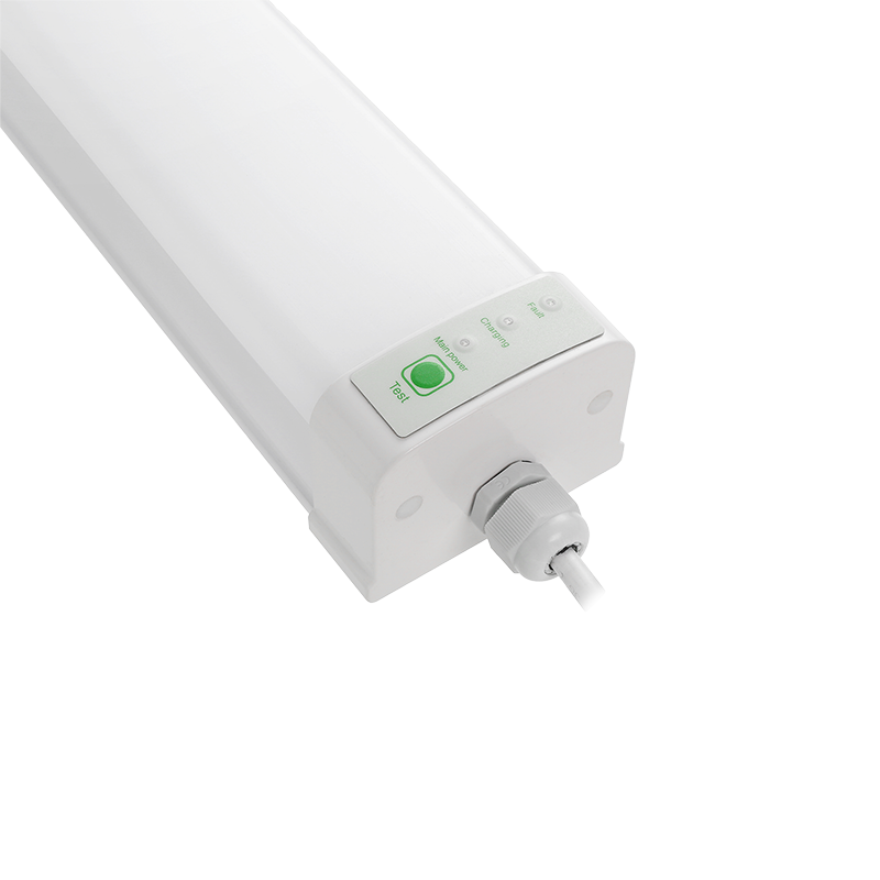 Светильник светодиодный пылевлагозащищенный ДСП-18Вт 6500К 2160 Лм с БАП