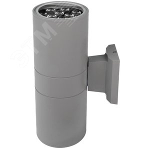 Изображение товара Светильник светодиодный ДБУ-2х12Вт архитектурный IP65 6500К 2160Лм серый (шт)