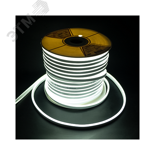 Заглушка торцевая для светодиодный ленты PFN-01 2835 (10шт/уп) - фото 2