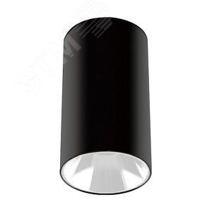 Светильник светодиодный ДПО GU10 без лампы круглый черный корпус белый рефлектор Jazzway 5031425 JazzWay