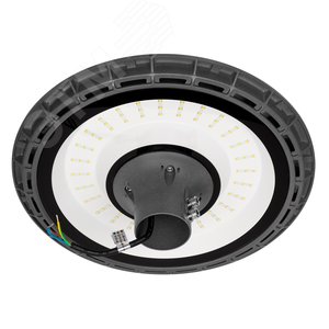 Светильник садово-парковый ДТУ-60Вт 5000К 6000Лм серый IP65 (2г.гар) - фото 3