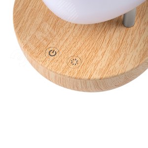 Светильник светодиодный настольный ''Тукан'' JS5-TOCO-WH - фото 5