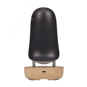 Светильник светодиодный настольный ''Тукан'' JS5-TOCO-BK - фото 4