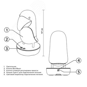 Светильник светодиодный настольный ''Тукан'' JS5-TOCO-OG - фото 9