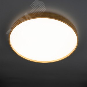 Светильник светодиодный ДБО-60w 4000К 4800Лм IP20 ''PINE'' - фото 6