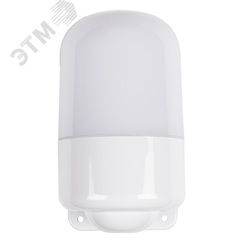 Светильник термостойкий PWL SAUNA 230V IP54 WHITE Jazzway - фото 4