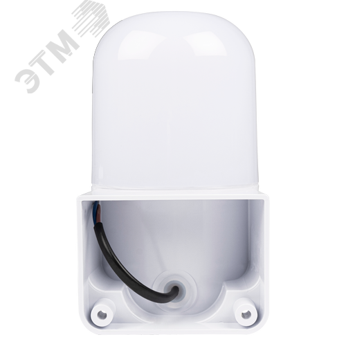 Светильник термостойкий PWL SAUNA 230V IP54 WHITE Jazzway - фото 3
