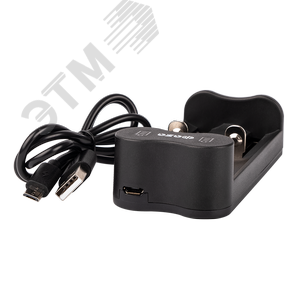 Универсальное интеллектуальное зарядное устройство для Li-ion цилиндрических аккумуляторов L-71 USB ФАZА 5032385 JazzWay - 2