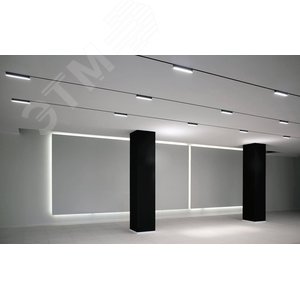 Светильник трековый светодиодный низковольтный ДПО16 1212 12W 4000K spot 36 град черный IP20 - фото 2