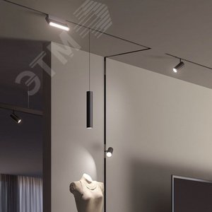 Светильник трековый светодиодный низковольтный ДПО16 2310 10W 4000K 36 град черный IP20 - фото 2