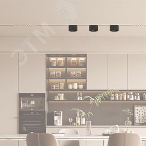 Светильник трековый светодиодный низковольтный ДПО16 3208 8W 3000K 25 град черныйIP20 - фото 3