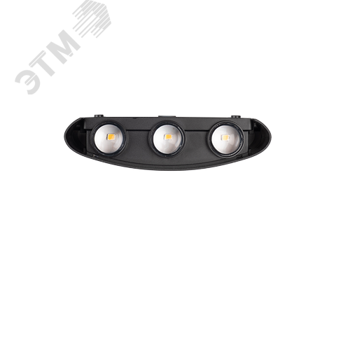 Светильник светодиодный фасадный ДБУ-81170 6W+4W 3000K BL 900Лм черный  IP54 - фото 3