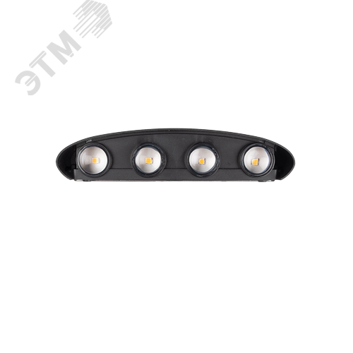 Светильник светодиодный фасадный ДБУ-81210 8W+4W 4000K BLчерный 1080Лм IP54 - фото 3