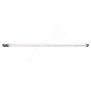 лампа светодиодная led 18вт для мяса g13 jazzway. small t8 600 tube for plants. лампа светодиодная led 18вт для мяса g13 jazzway фото. лампа светодиодная led 18вт для мяса g13 jazzway-small t8 600 tube for plants. картинка лампа светодиодная led 18вт для мяса g13 jazzway. картинка small t8 600 tube for plants. Россия