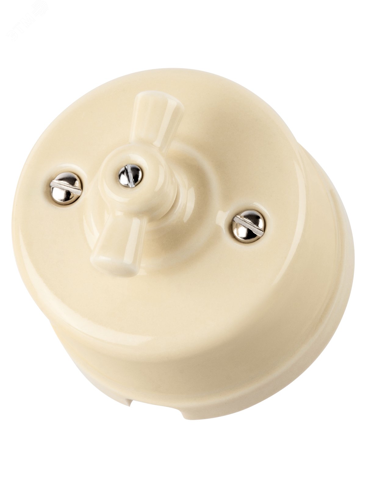 Изображение товара Выключатель фарфоровый поворотный с ручкой 10А сл. кость Болонь TDM