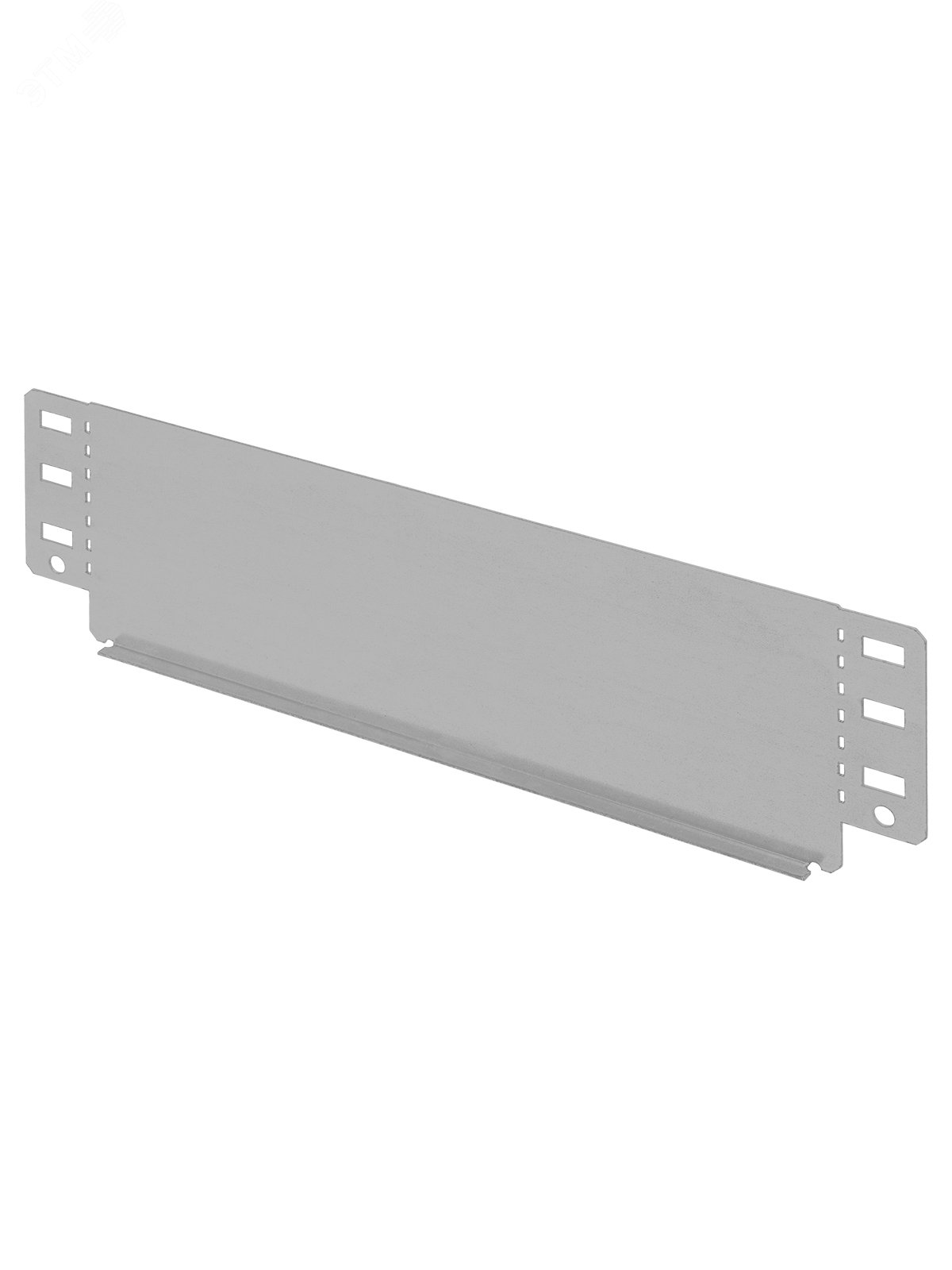 Изображение товара Заглушка торцевая для лотка 100х300 мм TDM из оцинкованной стали