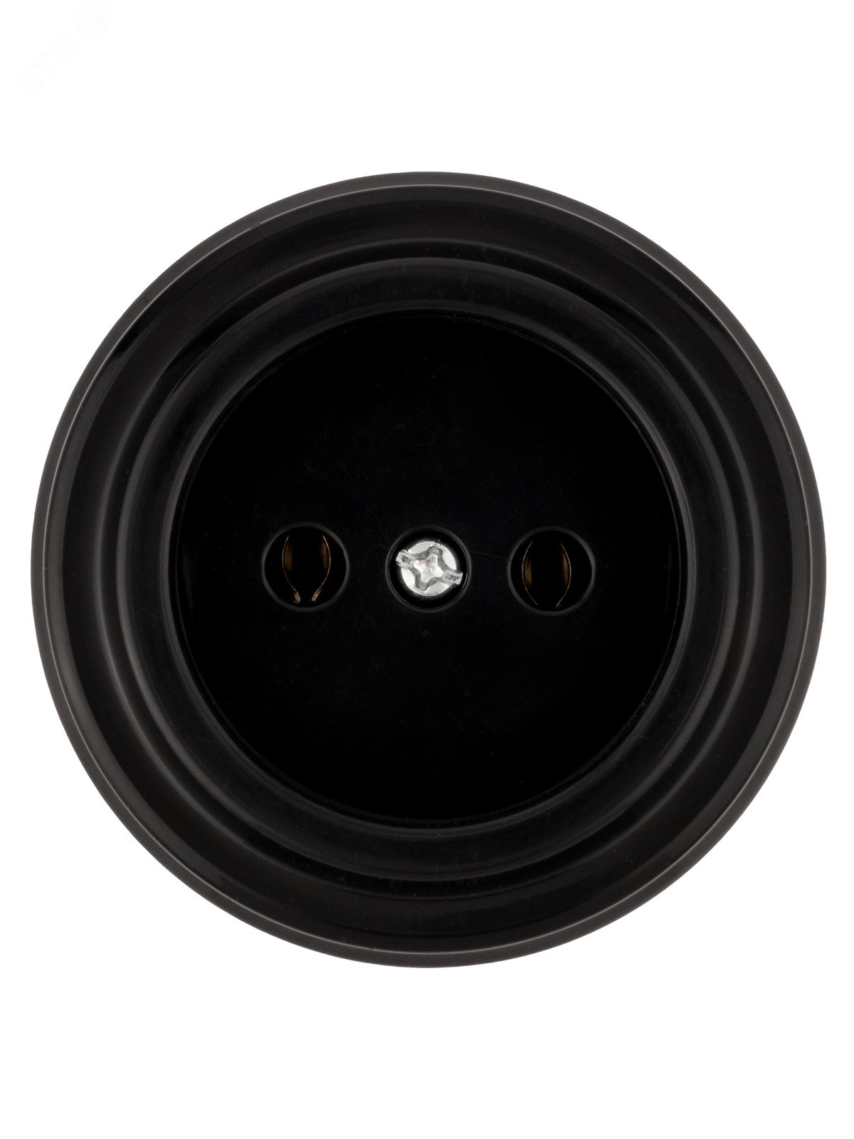 Изображение товара Розетка 2П 10А 250В черная Виви TDM ELECTRIC для монтажных работ внутри помещений