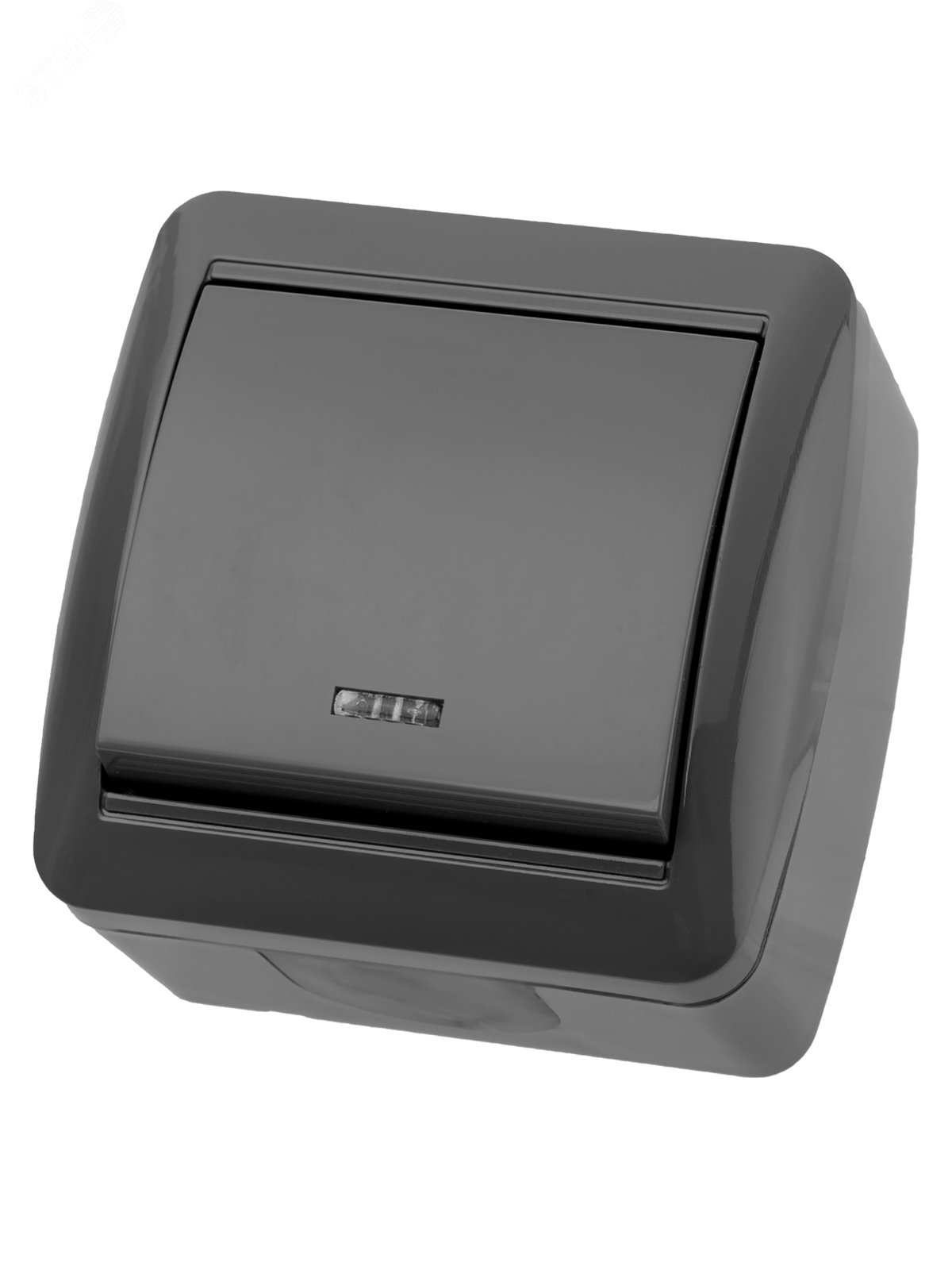 Изображение товара Выключатель 1-клавишный с подсветкой IP44 серия Селигер TDM