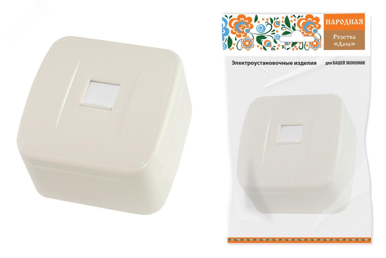 Изображение товара Розетка компьютерная RJ-45 открытой установки серия Дача цвет слоновая кость