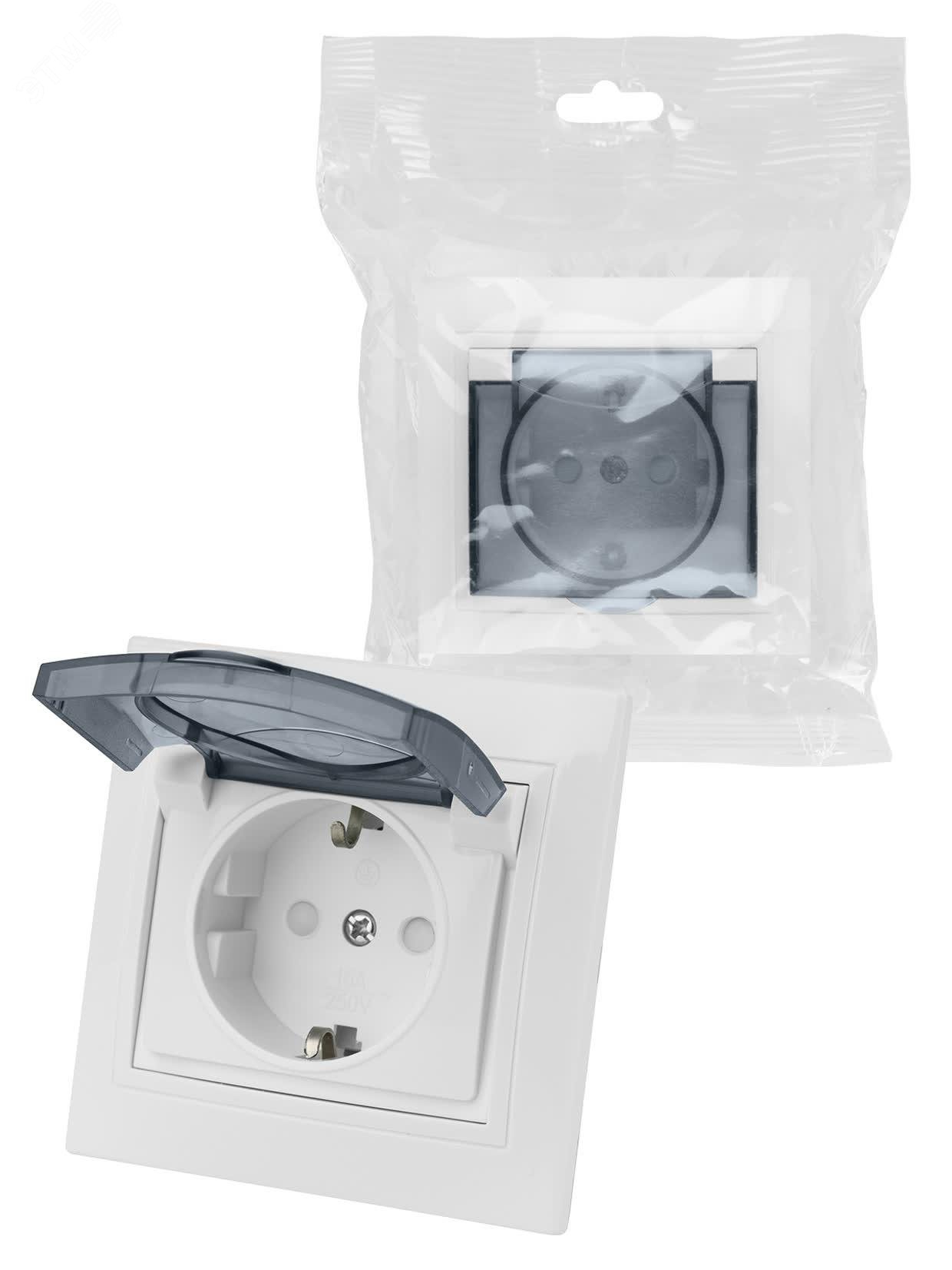 Изображение товара Розетка 2П+З с защитной шторкой и крышкой 16А IP44 TDM Таймыр