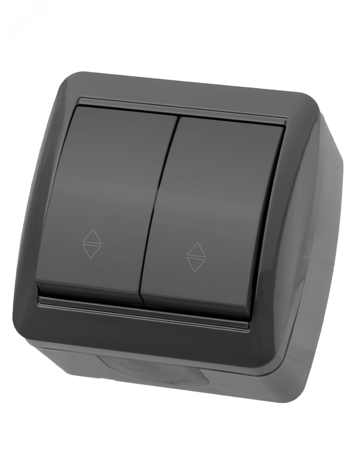 Изображение товара Выключатель проходной двойной IP44 10А серый "Селигер" TDM ELECTRIC