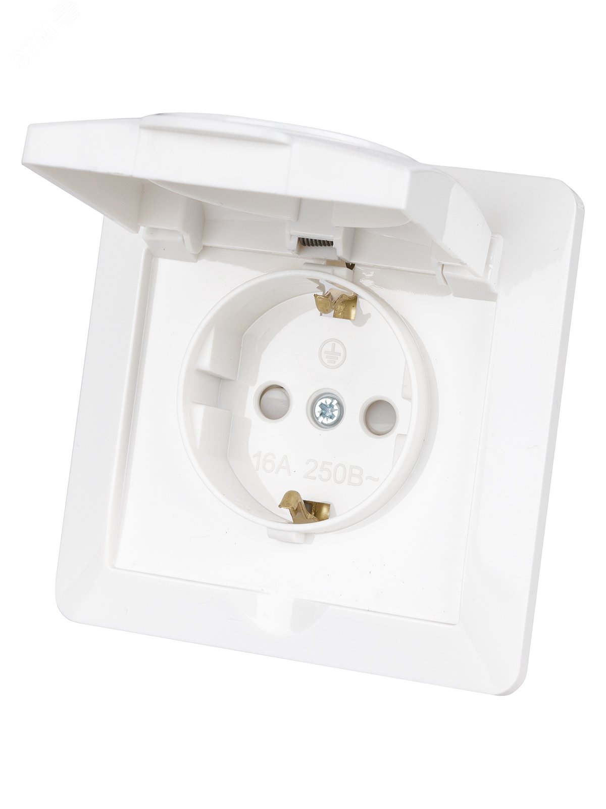 Изображение товара Розетка 2П+З с защитной крышкой IP44 серия Ильмень TDM