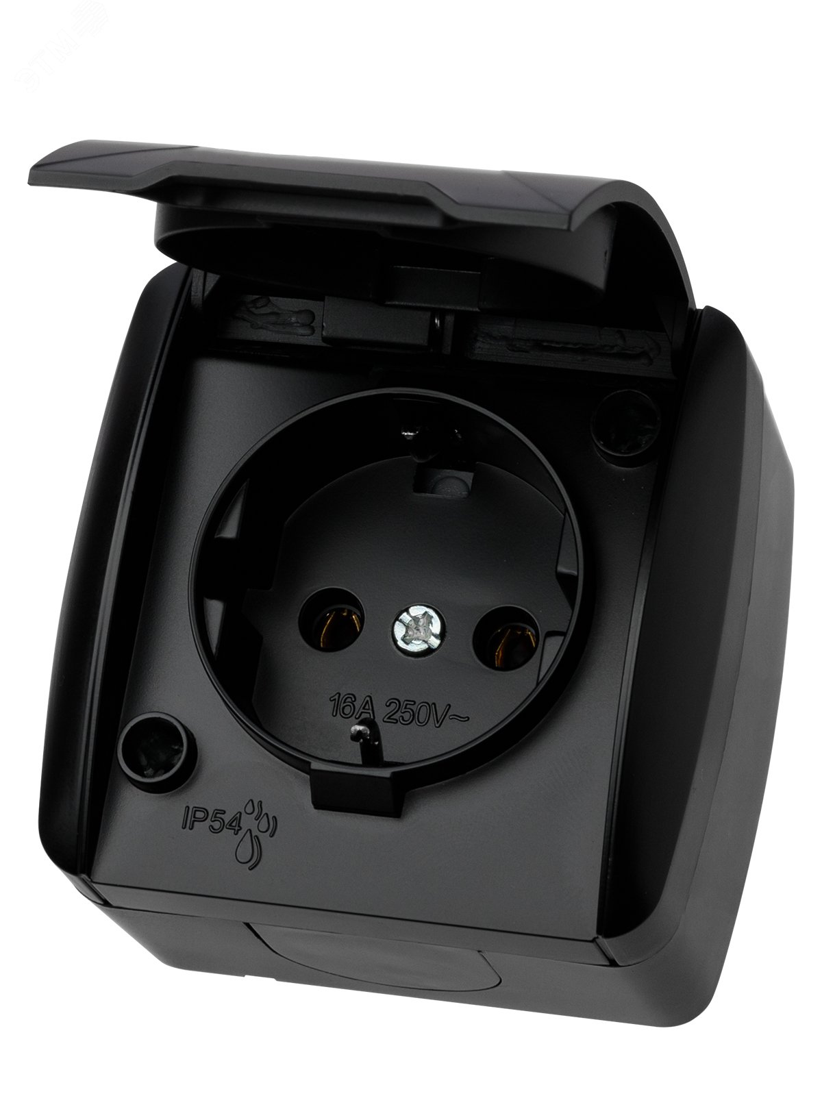 Изображение товара Розетка 2П+З открытой установки IP54 16А с крышкой графит Селигер TDM