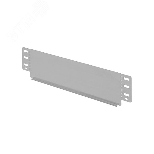 Изображение товара Заглушка торцевая для лотка 100х300 мм TDM (шт)