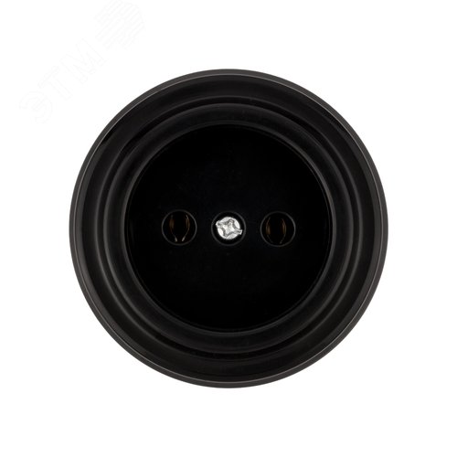 Изображение товара Розетка 2П 10А 250В черная «Виви» TDM (шт)