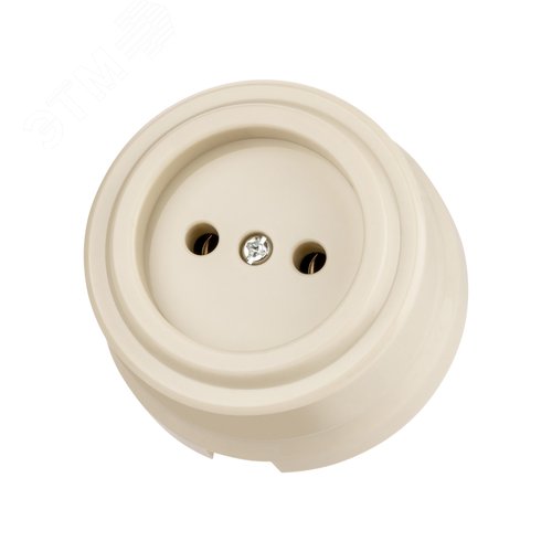 Изображение товара Розетка 2П 10А 250В сл. кость «Виви» TDM (шт)