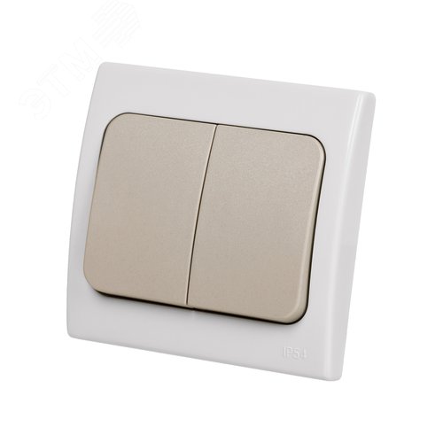 Изображение товара "Выключатель 2-кл. скрытой установки IP54 10А серый ""Вуокса"" TDM" (шт)