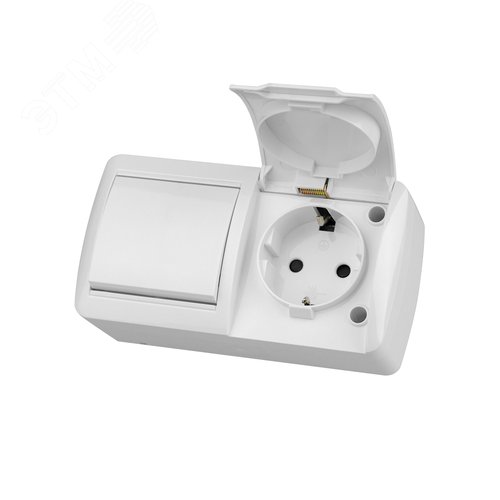 Изображение товара "Блок выключатель 1-кл. 10А + розетка 2П+З 16А с защ. штор. с крышкой IP54 белый ""Селигер"" TDM" (упак)