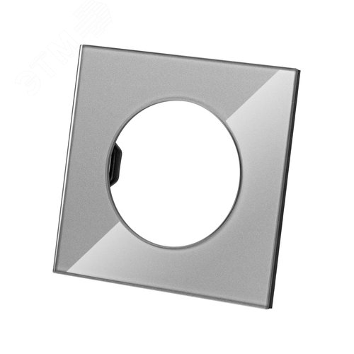 Изображение товара Рамка одиночная платина стекло Байкал TDM (шт)