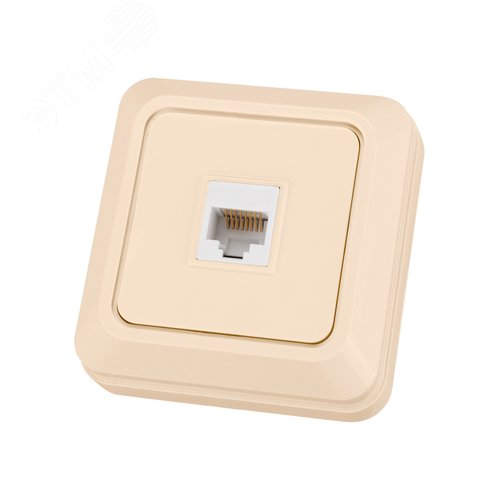 Изображение товара "Розетка компьютерная (RJ-45) открытой установки IP20, сл. кость ""Ладога"" TDM" (упак)