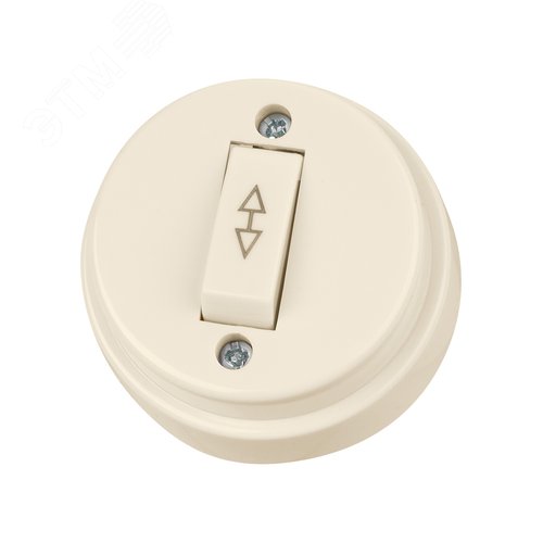 Изображение товара "Переключатель на 2 направления 1-кл. открытой установки IP20 10А сл. кость ""Ретро"" TDM" (упак)