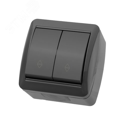 Изображение товара "Выключатель на 2 направления 2-кл. открытой установки IP44 10А серый ""Селигер"" TDM" (упак)