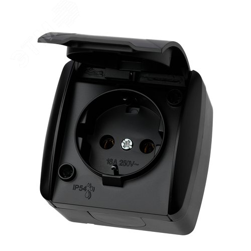 Изображение товара "Розетка 2П+З открытой установки IP54 16А с крышкой графит ""Селигер"" TDM" (упак)