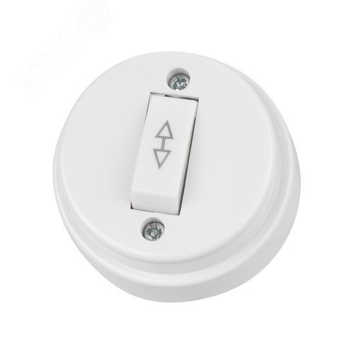 Изображение товара "Переключатель на 2 направления 1-кл. открытой установки IP20 10А белый ""Ретро"" TDM" (упак)