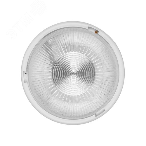 Изображение товара Светильник НПП 03-100-015.01 УХЛ4 Рондо (шт)