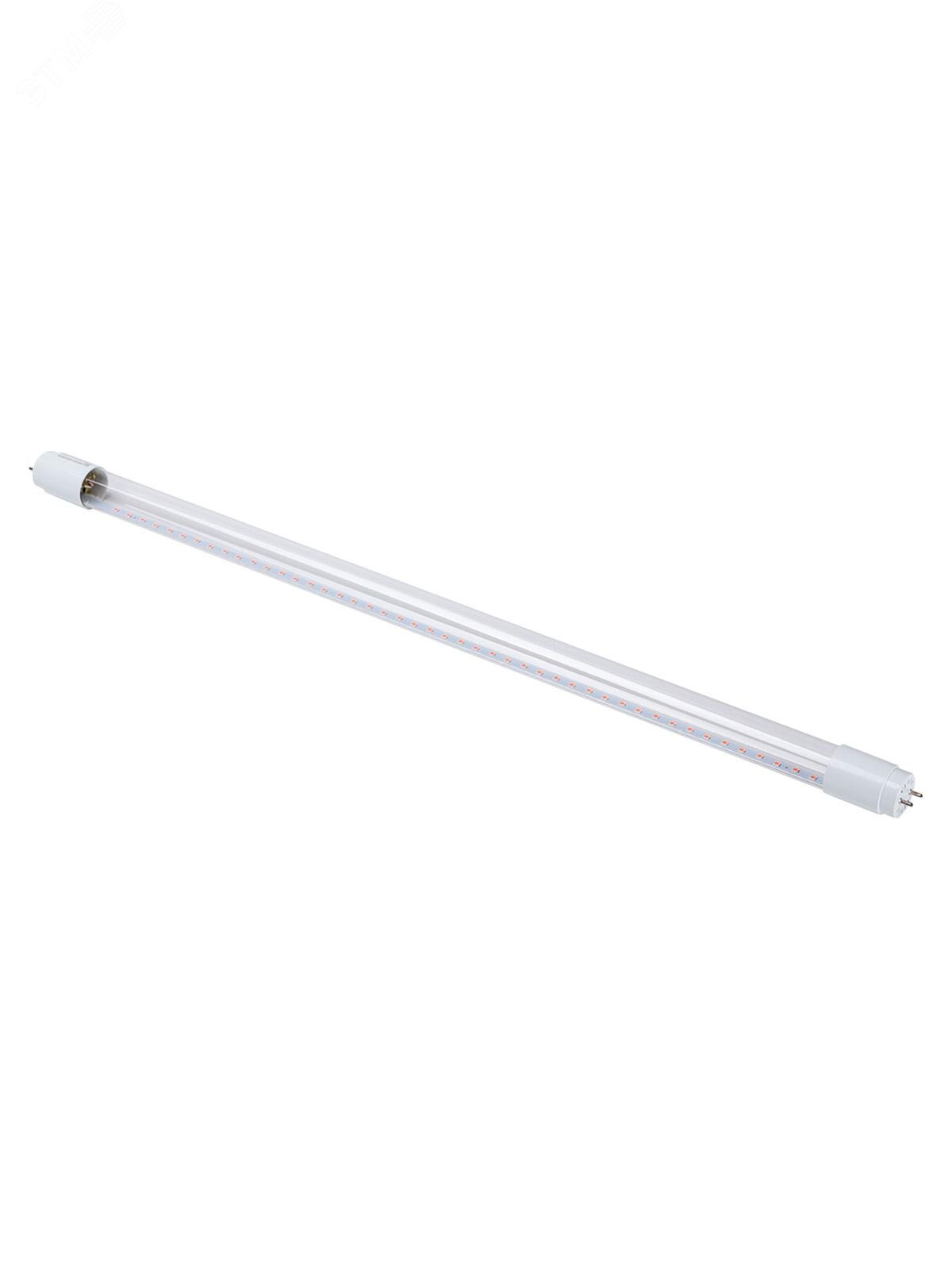 Изображение товара Лампа светодиодная для растений фито 9 Вт Т8 G13 230 В 600 мм (шт)