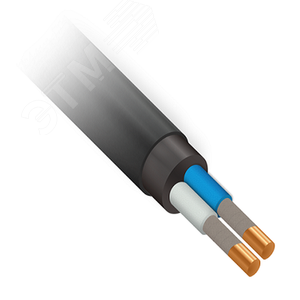 Кабель силовой ВВГнг(А)-FRLS 2х10ок-1 ТРТС - фото 1