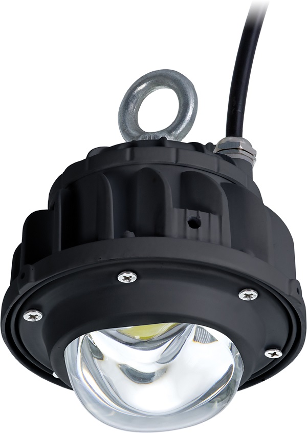 Светильник ACORN LED 40 D120 5000K Ex