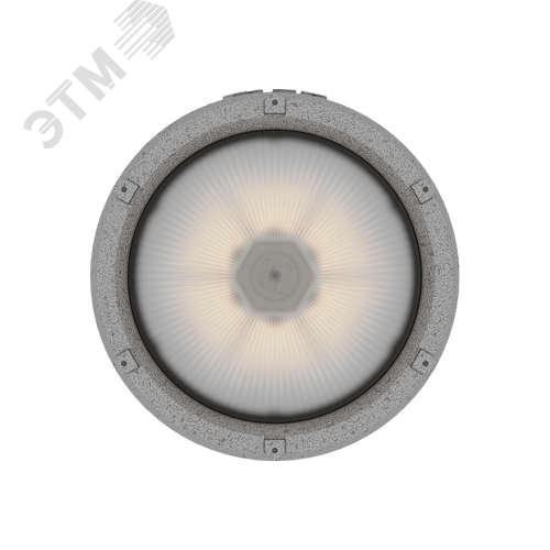 Светильник ZENITH LED Ex G2/G 30W D270 850 HG - фото 6