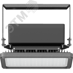 Светильник светодиодный INSEL LB/S LED 70 D120 Ex 5000K GI - фото 3