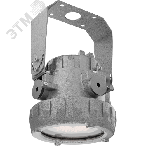 Светильник светодиодный FLINT Ex/B 30W D120 750 HG - фото 4