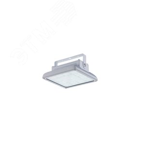 Изображение товара Светильник светодиодный INSEL LB/S LED 70 D120 Ex 5000K GI (шт)