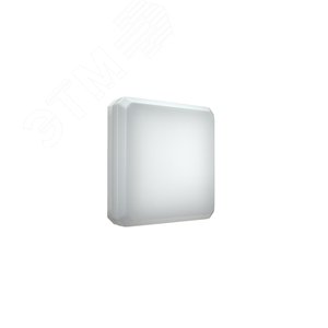 Светильник светодиодный аварийный OBERON 5421-7   LED SI
