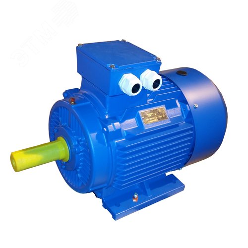 Изображение товара Электродвигатель трехфазный асинхронный АИР180М2У1 30 кВт 3000 об/мин 380/660В IM1081 B3 IP55 (шт)