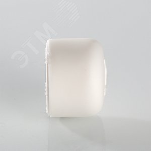 Заглушка 110 полипропиленовая PPR белая - фото 4